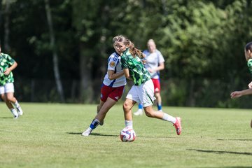 Bild 183 - wBJ Hamburger SV - VfL Wolfsburg : Ergebnis: 5:1